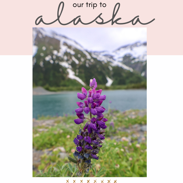 Our Trip to Alaska